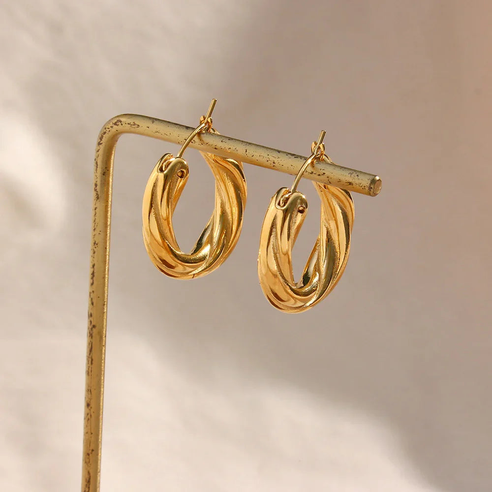 Denisse Twisted Hoop Earrings